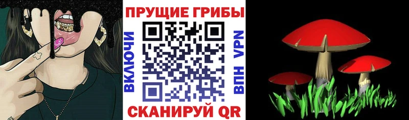 Галлюциногенные грибы мухоморы  mega сайт  Беломорск 