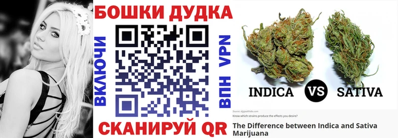 kraken как зайти Беломорск Марихуана VHQ